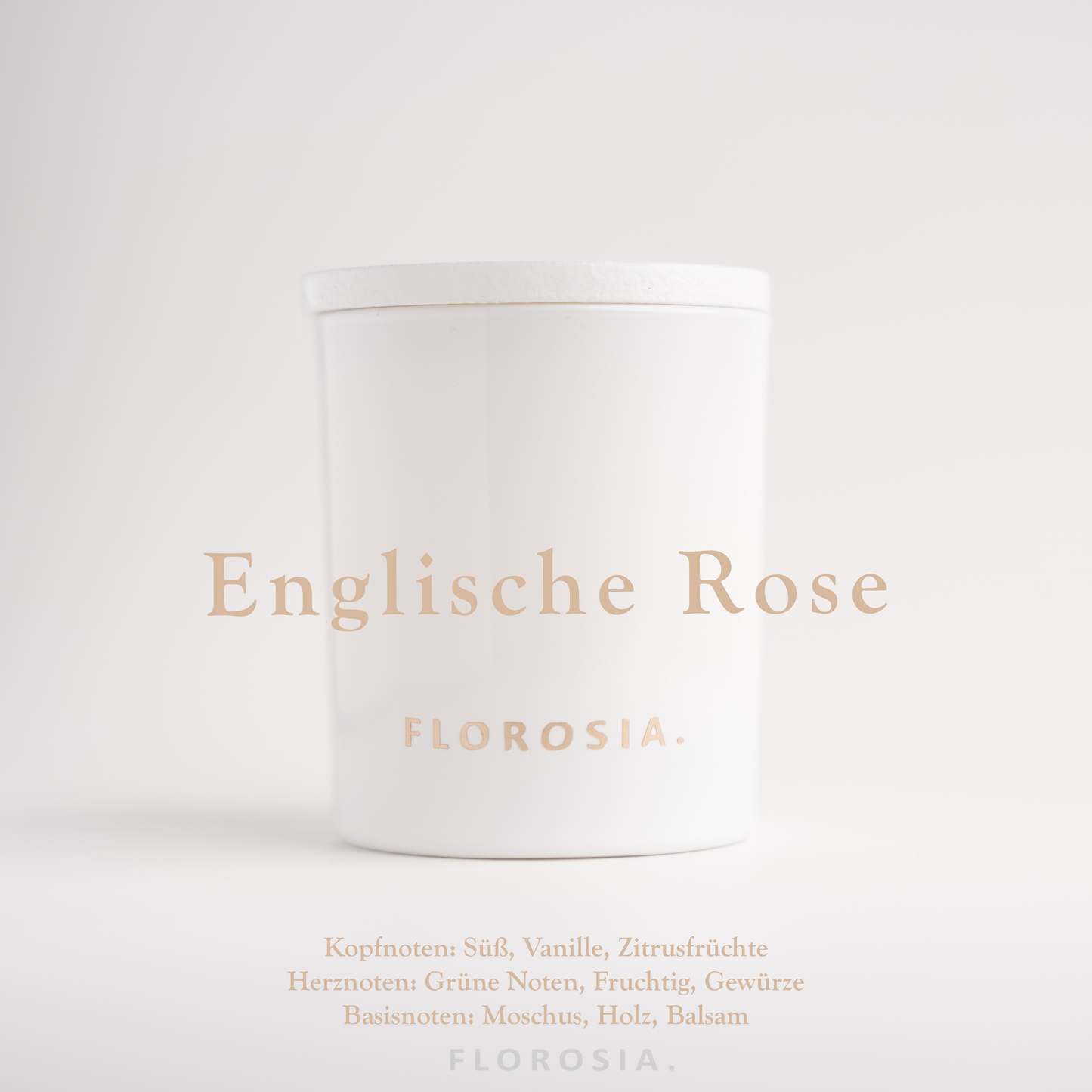 Englische Rose